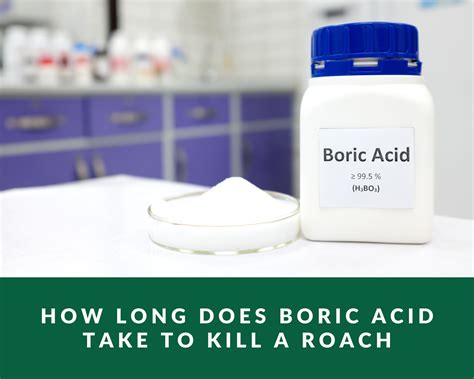 how long does it take for boric acid suppository to dissolve|How Long Does It Take for Boric Acid Suppositories to Dissolve ...